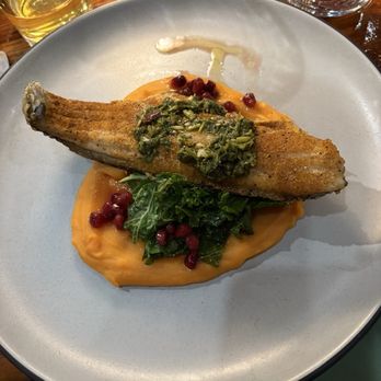 Lost Coyote - Pan seared fish - Swimming Pools Near Me - New Orleans, Louisiana