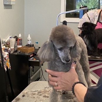 Muddy Paws OC - Pet Groomers Near Me - Orange, California