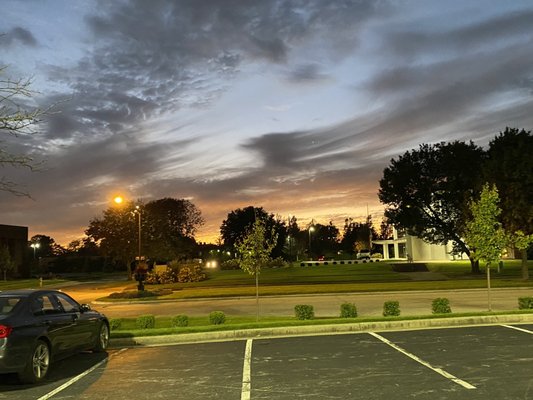 Del Frisco's by null