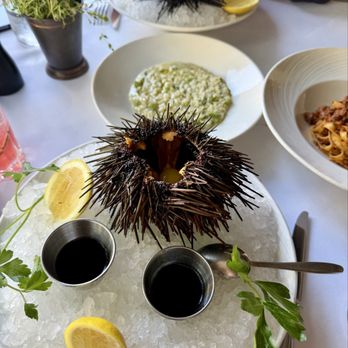 Novikov - Mediterranean Near Me - Beverly Hills, California