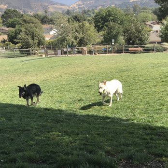 Paws Parks - Dog Parks Near Me - Buellton, California Paws Parks - Dog Parks Near Me - Buellton, California