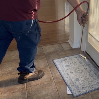 ProGuard Pest Protection - Pest Control Near Me - Houston, Texas ProGuard Pest Protection - Pest Control Near Me - Houston, Texas