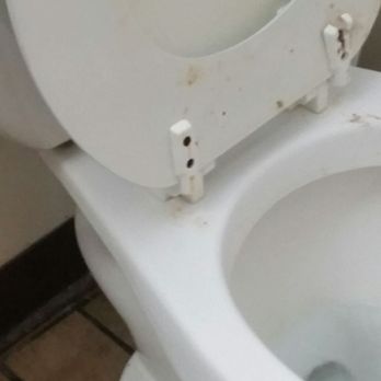Subway - toilet disgusting. - Sandwiches Near Me - Mary Esther, Florida Subway - toilet disgusting. - Sandwiches Near Me - Mary Esther, Florida