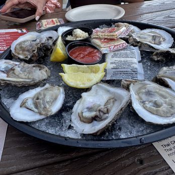 Hula Bay Club - Friday $1 oysters - Seafood Near Me - Tampa, Florida Hula Bay Club - Friday $1 oysters - Seafood Near Me - Tampa, Florida