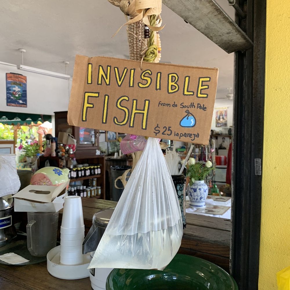 TOP 10 BEST Coconut Water near Little Havana, Miami, FL - Updated 2026 -  Yelp