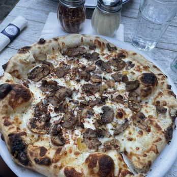 Lupo Marino - Funghi Pizza - Pizza Near Me - Washington, DC, District of Columbia Lupo Marino - Funghi Pizza - Pizza Near Me - Washington, DC, District of Columbia