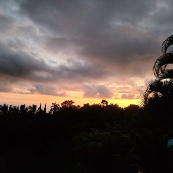 Banyan Tree Sanctuary - Elevation is about 1250 feet, a bit cooler than the ocean front. Air is as pure as nature provides. - Vacation Rentals Near Me - Kailua-Kona, Hawaii
