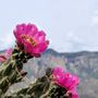Photo of Michial M Emery Bear Canyon Trailhead