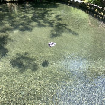Bonneville Dam Fish Hatchery - Aquariums Near Me - Cascade Locks, Oregon