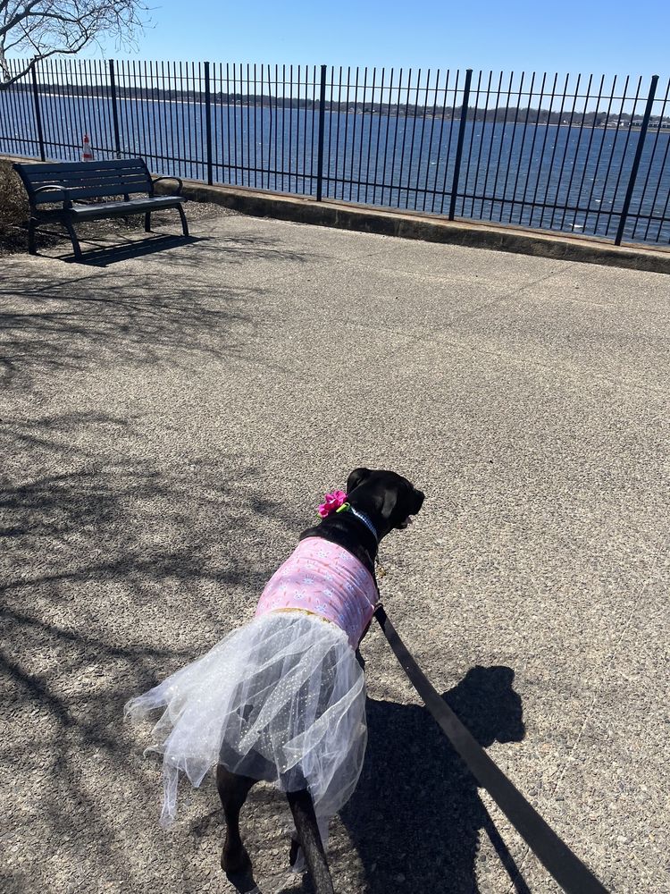 Rose Larisa Memorial Park