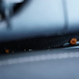 The filth in the car we rented The filth in the car we rented