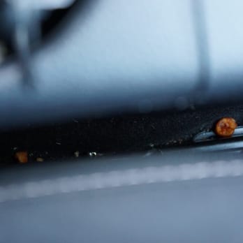 Enterprise Rent-A-Car - The filth in the car we rented - Car Rental Near Me - Waldorf, Maryland Enterprise Rent-A-Car - The filth in the car we rented - Car Rental Near Me - Waldorf, Maryland