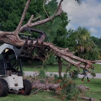 Jeffrey's In and Out Tree Service - Tree Services Near Me - Stuart, Florida Jeffrey's In and Out Tree Service - Tree Services Near Me - Stuart, Florida