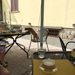 A Casa dei Nonni