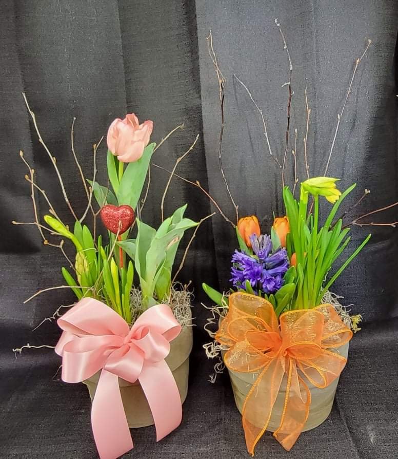 FRESH! AWARD WINNING FLORAL DESIGN Updated September 2024 508 C Ave