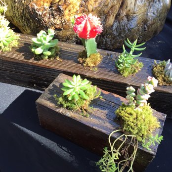 Melrose Trading Post - Flea Markets Near Me - Los Angeles, California