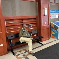 Schaumburg Township District Library
