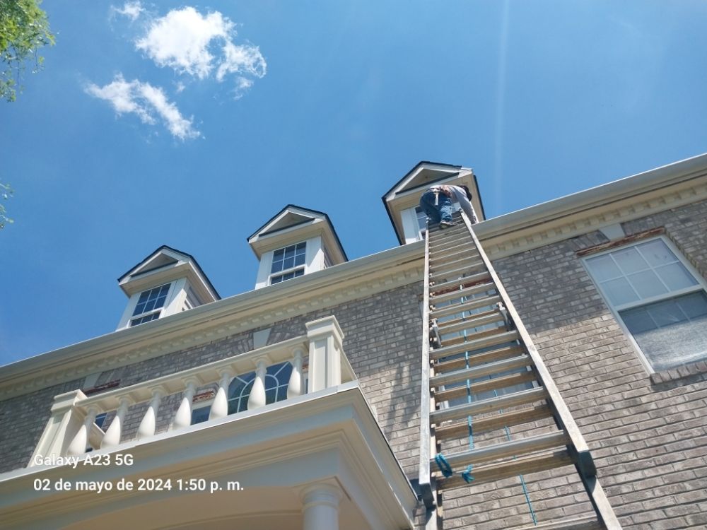 Slide of Lion Services