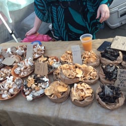 Edible Alchemy - Mushrooms!