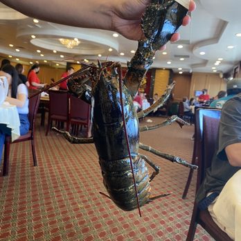 Seafood Cove 2 - Lobster - Dim Sum Near Me - Westminster, California Seafood Cove 2 - Lobster - Dim Sum Near Me - Westminster, California