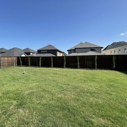 Verde Lawn DFW - Juniper trees, landscaping