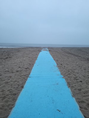 Will Rogers State Beach by null