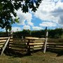 Photo of Sorel's Country Treasures & Antiques