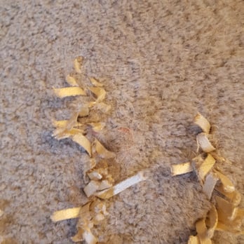 Zakian Rug Cleaning - Cleaned rug :( - Carpet Cleaning Near Me - Philadelphia, Pennsylvania Zakian Rug Cleaning - Cleaned rug :( - Carpet Cleaning Near Me - Philadelphia, Pennsylvania