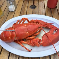 Halls Harbour Lobster Pound - Lobster