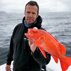 Doug's Channel Island Tours