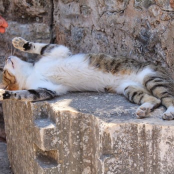 Ephesus - Landmarks & Historical Buildings Near Me - İzmir, 35