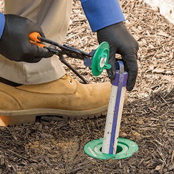 One Tree Pest Solutions - Pest Control Near Me
