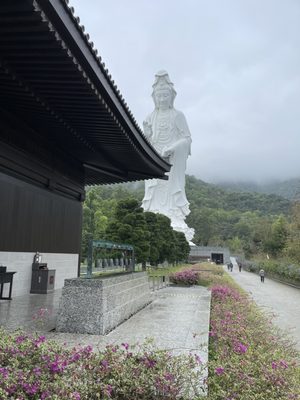 Tsz Shan Monastery by null