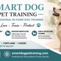 Smart Dog Pet Training