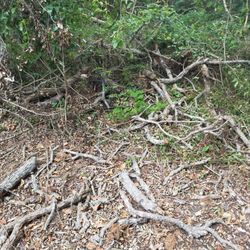 SCE Landscaping/Tree Service