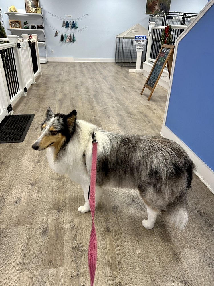 FRENCHTOWN DOG WASH Updated June 2024 1000 Frenchtown Rd, Milford