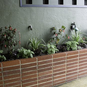 Wild Natives - Newly planted flower box - Landscaping Near Me Wild Natives - Newly planted flower box - Landscaping Near Me