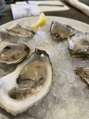 Seabear Oyster Bar by null