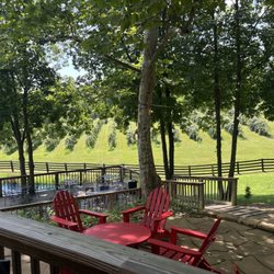 Twisted Vine Family Vineyard