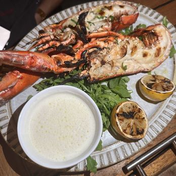 Astra - Grilled Lobster - Mediterranean Near Me - Miami, Florida Astra - Grilled Lobster - Mediterranean Near Me - Miami, Florida