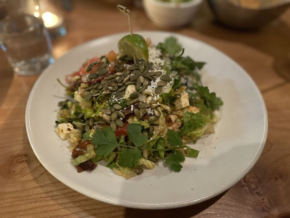 Cactus Restaurants - Bellevue Square