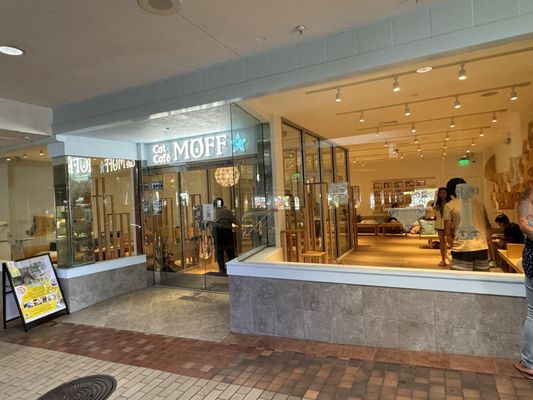 CAT CAFE MOFF - Updated July 2025 - 213 Photos & 63 Reviews - 2330 ...