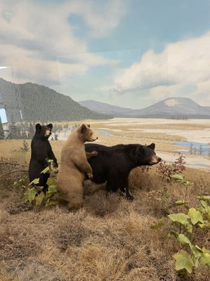 Denver Museum of Nature & Science by null