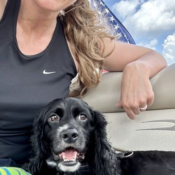 Florida Coastal Cocker Rescue - Pet Adoption Near Me