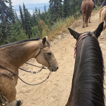 Mountain Horse Adventures - Our sweet horses named Cinnamon and Rochambeau (Ro!) - Horseback Riding Near Me - Sandpoint, Idaho