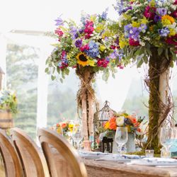 Design Works - Photo: Elevate Photography