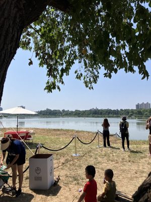 Hong Kong Dragon Boat Festival In New York