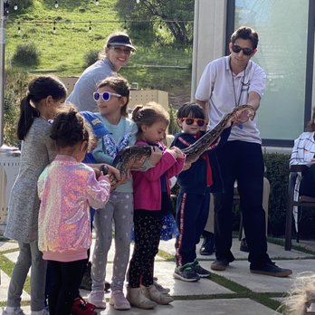 Raptor Events - Amelia the red tailed boa - Party & Event Planning Near Me