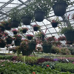 Wagner Flowers & Greenhouse