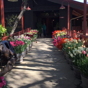 Ironstone Vineyards - Wineries Near Me - Murphys, California